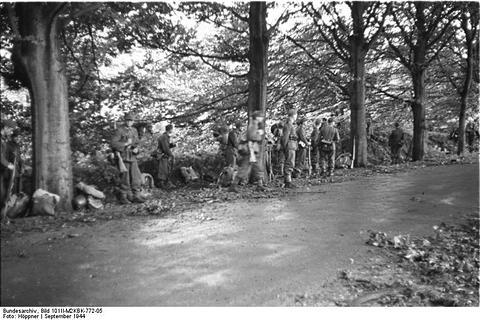 Period photograph: a line of soldiers standing under tall trees beside a wet road