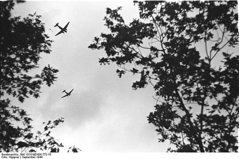 Period photograph: two aircraft in the sky framed by tree branches