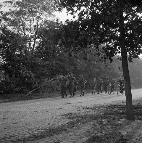 Period photograph: a file of men with raised hands walking along a cobbled road under trees