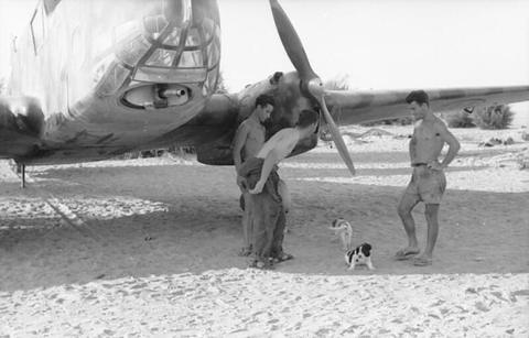 Period photograph: men in shorts with a dog under the wing of an aircraft