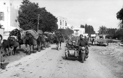 Period photograph: soldiers on motorcycles riding past camels on a town road