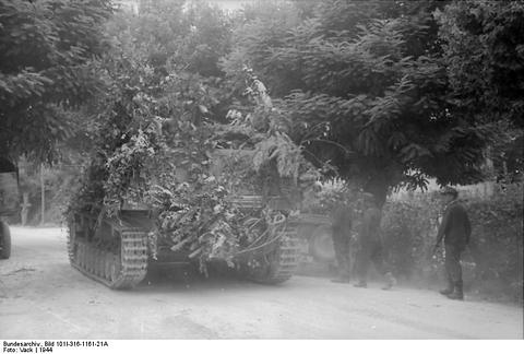 Period photograph: a tracked gun vehicle hidden under branches on a tree-lined road