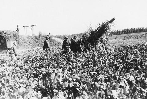 Period photograph: a field gun covered with branches in a field, soldiers standing beside it